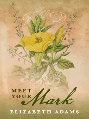 cover image of Meet Your Mark